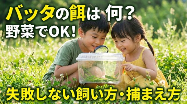 バッタの餌は何？野菜や果物でもOK？