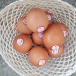 賞味期限　卵