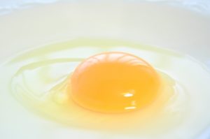 卵を割って鮮度を調べる方法