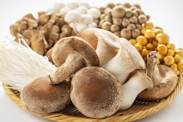 きのこの賞味期限はどれくらい？